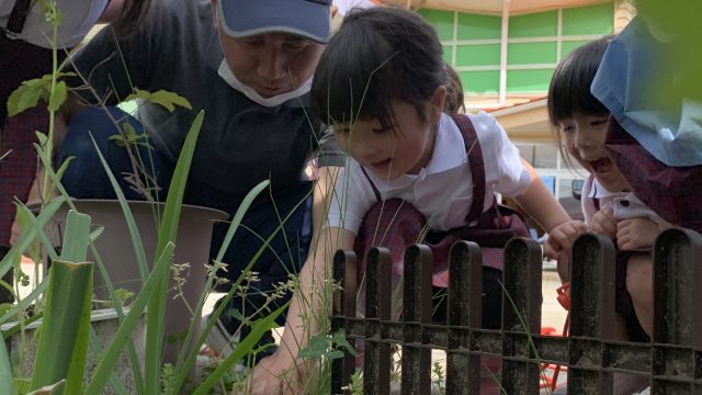（年中）R7.5.16 保育ドキュメンテーション