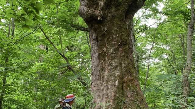 （年長）R7.7.16 保育ドキュメンテーション