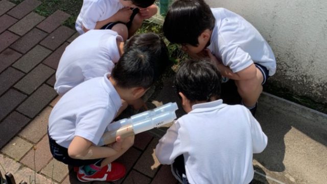 （年中）R7.6.2 保育ドキュメンテーション