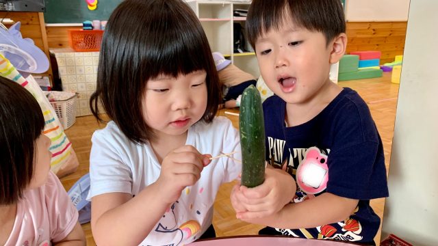 （年少）R7.7.14保育ドキュメンテーション