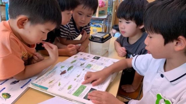 （年中）R7.8.28 保育ドキュメンテーション