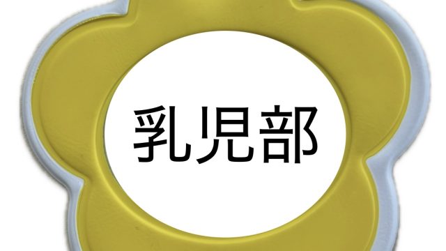 「うさぎ組をのぞいてみようパート8 秋の公園へレッツゴー』